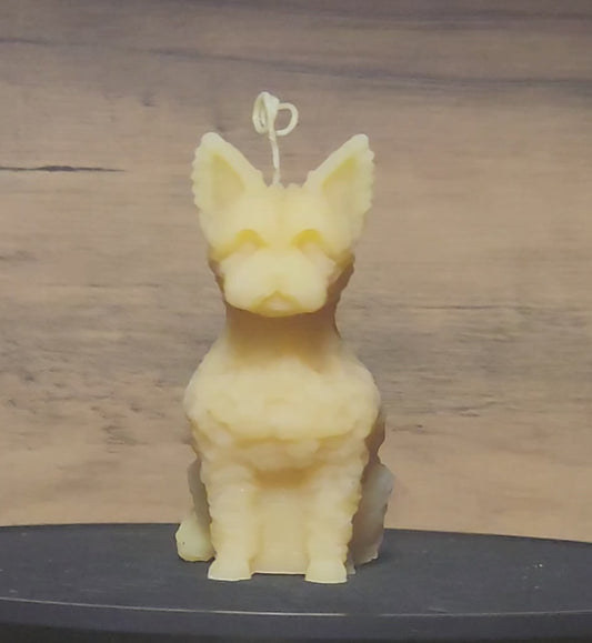 Little Guardian